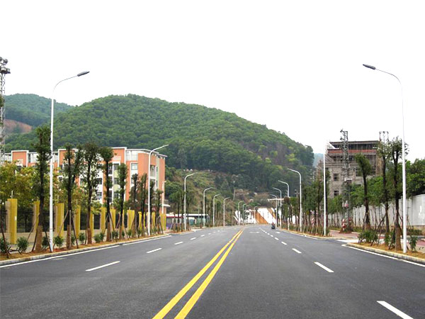 Road RS660 series LED street light case