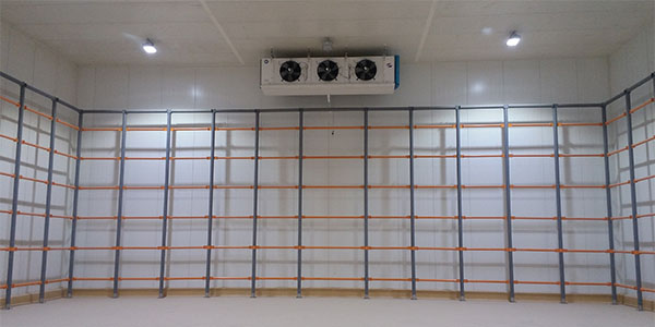 tl300 module tunnel light indoor case