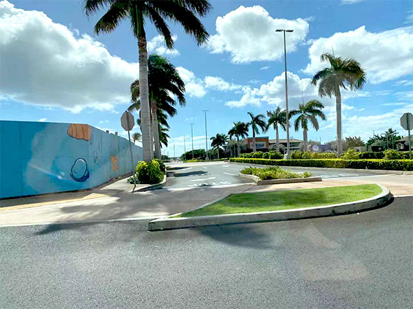 led street light project case in Hawaii