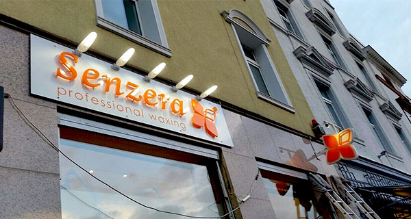 mini led street light project case