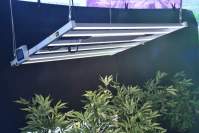 Full-spectrum led plant growth light-the gospel of plants