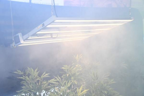 Plant spotlight-1000wled plant growth light