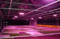 Application of 800wLED grow light in the field of plant cultivation