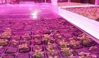 What are the main parameters for the spectral parameterization of LED grow light