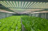 How to install yaorong LED grow lights correctly can bring good results?