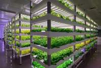 How to match the light quality of LED grow lights