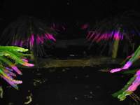 How to choose the best LED grow light for growing hemp