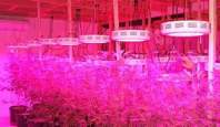 What are the functions of yaorong LED grow lights?  