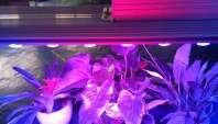 High-efficiency supplement light and function of LED grow light
