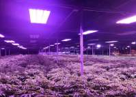 How to extend the life cycle of LED grow lights?