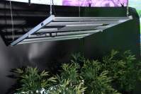 How to choose led plant lights? You'll know after reading it