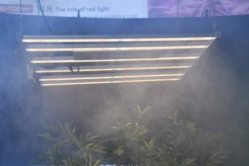 The first choice for plant lighting Yaorong Technology 800wled plant light-so th