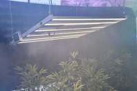 Unleash the true potential of plants-1000wled plant light