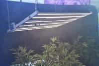 How to choose the 1000wled plant light that suits you Yaorong Technology