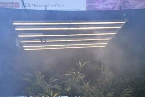 Take stock of the advantages of LED plant lights