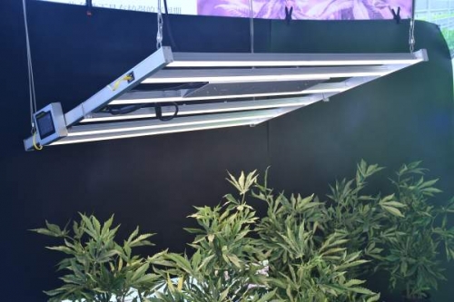 Why can LED plant lights replace 