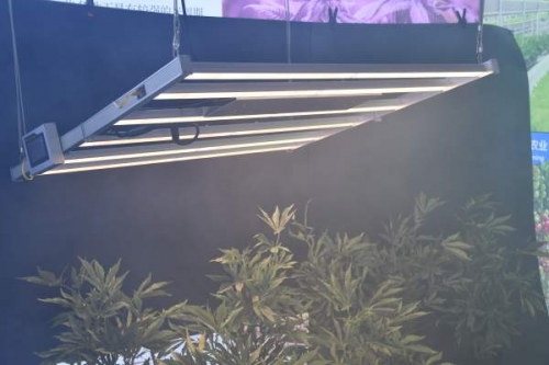 The help of led plant lights to plants