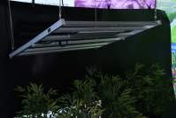 How do LED plant lights feed your indoor plants