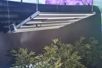 Led plant lights tell you four problems that should be paid attention to in the 