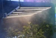 The advantages of LED plant lights for urban vegetable planting