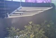 Eight reasons why LED plant lights don't light up