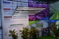 The benefits of LED plant light team plant growth