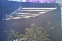 Nine characteristics of Yaorong LED plant light